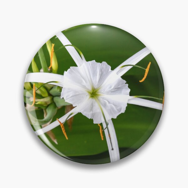 Item preview, White Spider Lilies X139 designed and sold by RichFrancoCars.