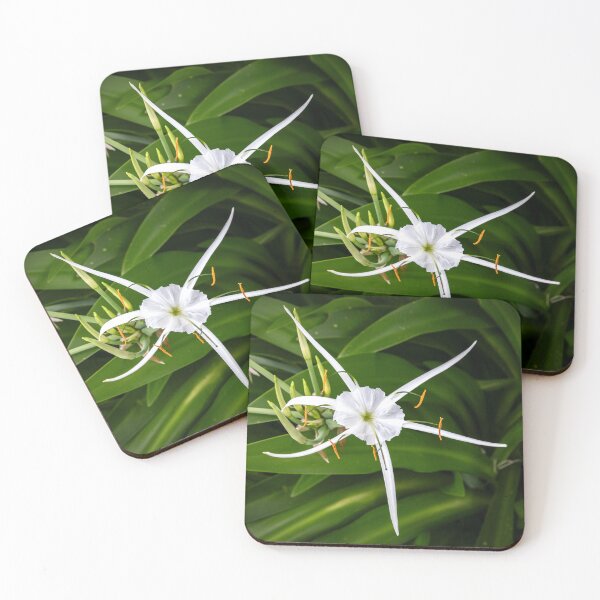 Item preview, White Spider Lilies X139 designed and sold by RichFrancoCars.