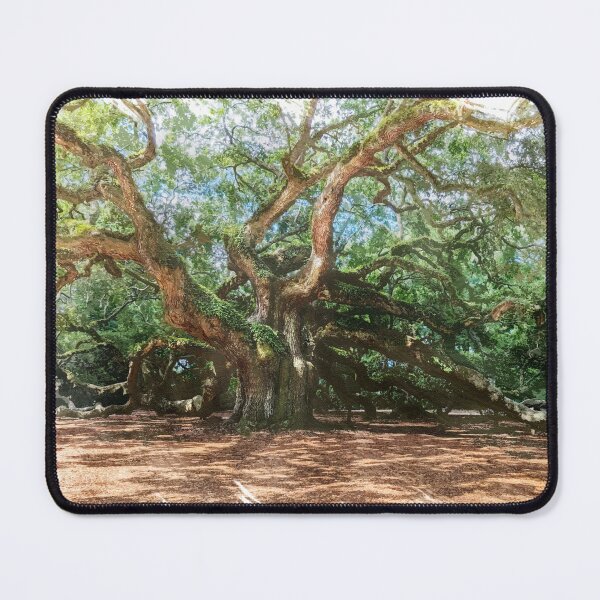 Item preview, Angel Oak Tree in Charleston, South Carolina designed and sold by Frog Level Treasures.