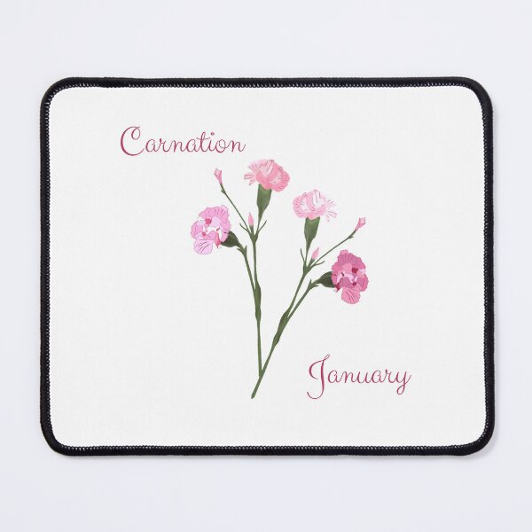 Item preview, Carnations are For January designed and sold by SheilaMcDowell Design.