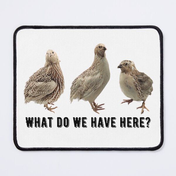 Item preview, Quail, quail, quail... what do we have here? designed and sold by darkvalleyfarm.
