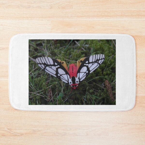 Item preview, Areas galactina: Milky tiger moth designed and sold by Entomologist.