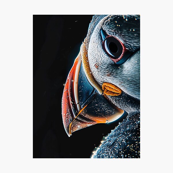 Item preview, Left side Puffin closeup designed and sold by Brendon987.