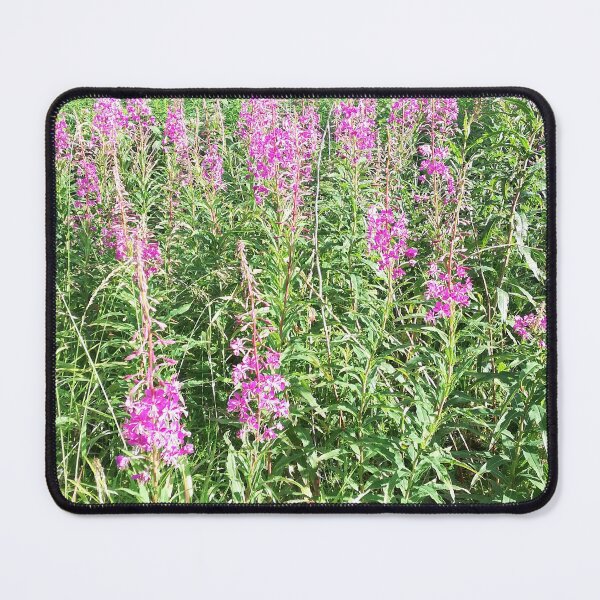 Item preview, Rosebay willowherb flowers photograph designed and sold by esvb.