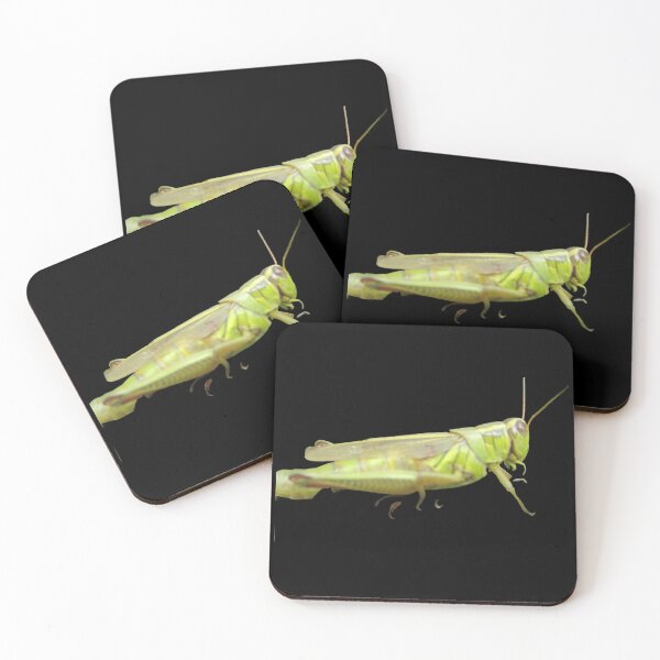 Item preview, Grasshopper  designed and sold by Lauracolleen3.