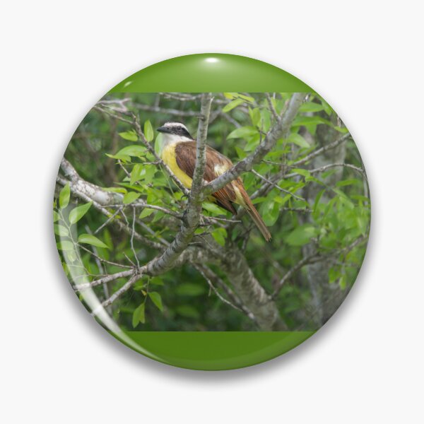 Item preview, Great Kiskadee Santa Ana NWR Texas designed and sold by Debra Martz.