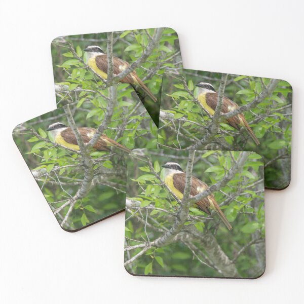 Item preview, Great Kiskadee Santa Ana NWR Texas designed and sold by Debra Martz.