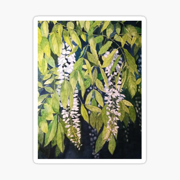 Item preview, White wisteria watercolour painting  designed and sold by esvb.