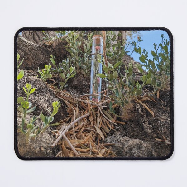 Item preview, Botanical Specimens II designed and sold by Jkund19.