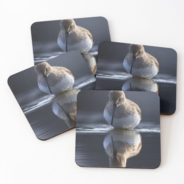 Item preview, Dunlin Reflections designed and sold by Tom McPherson Photography.