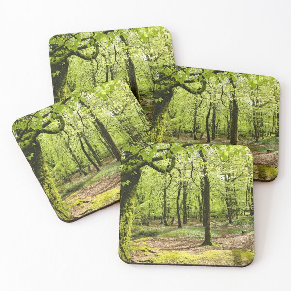 Item preview, Golitha Falls River walk Tree photograph designed and sold by Designs12.
