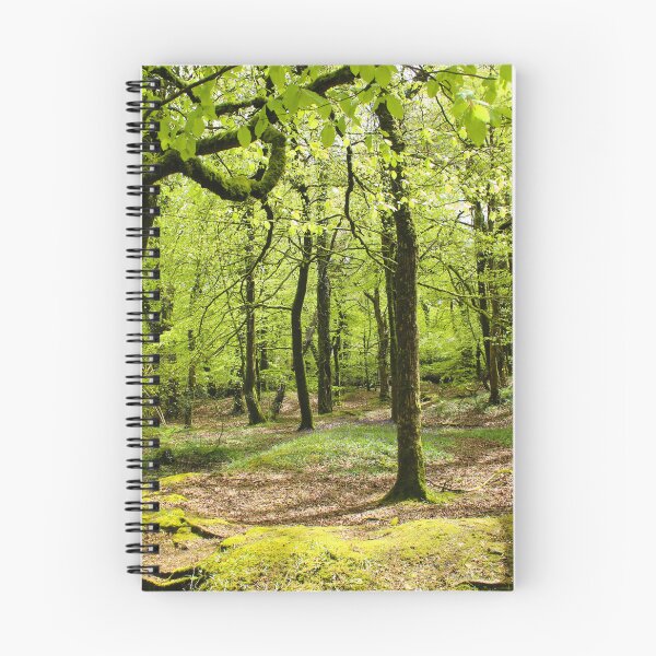 Item preview, Golitha Falls River walk Tree photograph designed and sold by Designs12.