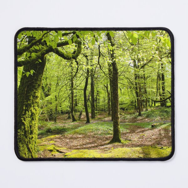 Item preview, Golitha Falls River walk Tree photograph designed and sold by Designs12.