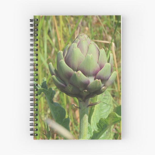 Item preview, Artichoke from Brittany designed and sold by ART22.