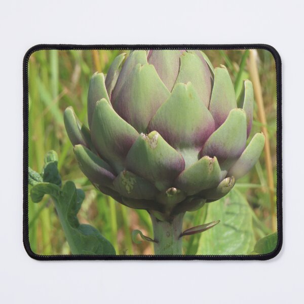 Item preview, Artichoke from Brittany designed and sold by ART22.