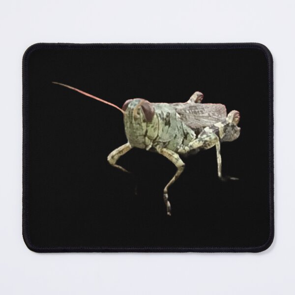 Item preview, Grasshopper designed and sold by Lauracolleen3.
