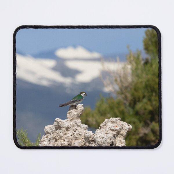 Item preview, Bird perched on Rock Formation designed and sold by SafariByMarisa.