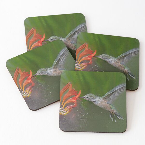 Item preview, A Broadtail Hummingbird visits a red flower designed and sold by vagabondgal.