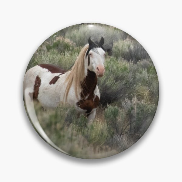 Item preview, South Steens Stallion with Cool Markings - Shaman designed and sold by Belinda Greb Photography.