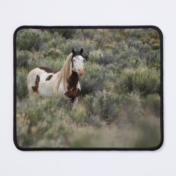 Item preview, South Steens Stallion with Cool Markings - Shaman designed and sold by Belinda Greb Photography.