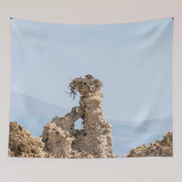 Item preview, Osprey Nest on Tufa Formation designed and sold by SafariByMarisa.