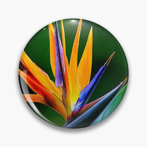 Item preview, Strelitzia  designed and sold by Cristianecelta.