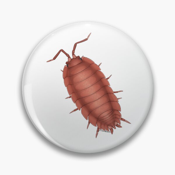Item preview, porcellio scaber orange designed and sold by LizardBeans.