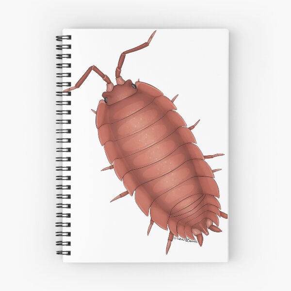 Item preview, porcellio scaber orange designed and sold by LizardBeans.