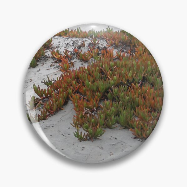 Item preview, Sandy Beach Succulents designed and sold by heatherfriedman.