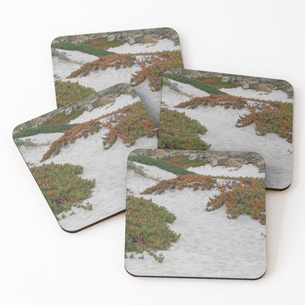 Item preview, Sandy Beach Succulents designed and sold by heatherfriedman.