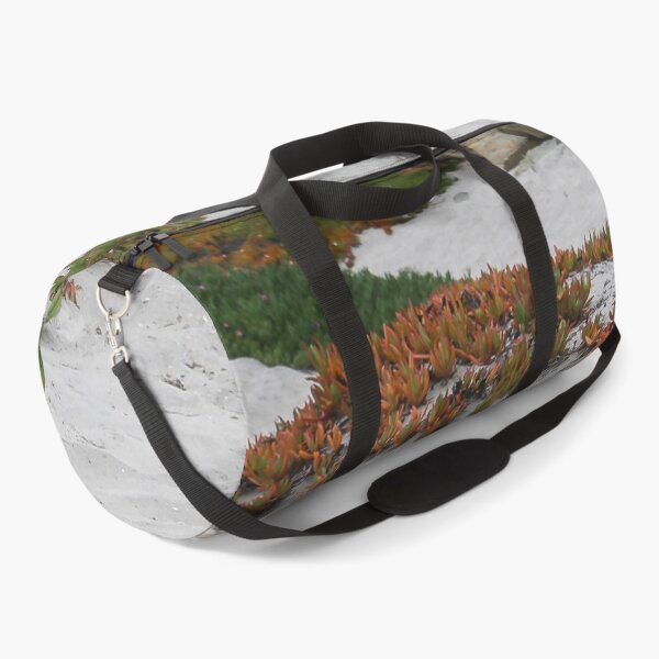 Item preview, Sandy Beach Succulents designed and sold by heatherfriedman.