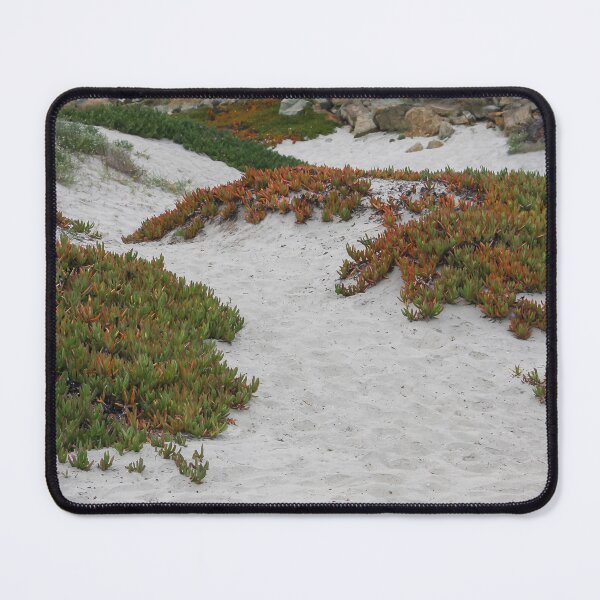 Item preview, Sandy Beach Succulents designed and sold by heatherfriedman.