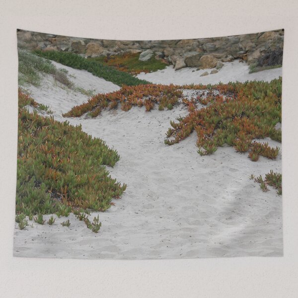 Item preview, Sandy Beach Succulents designed and sold by heatherfriedman.