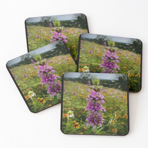Artikelvorschau, Lemon Beebalm entworfen und verkauft von Gemini Dreaming.