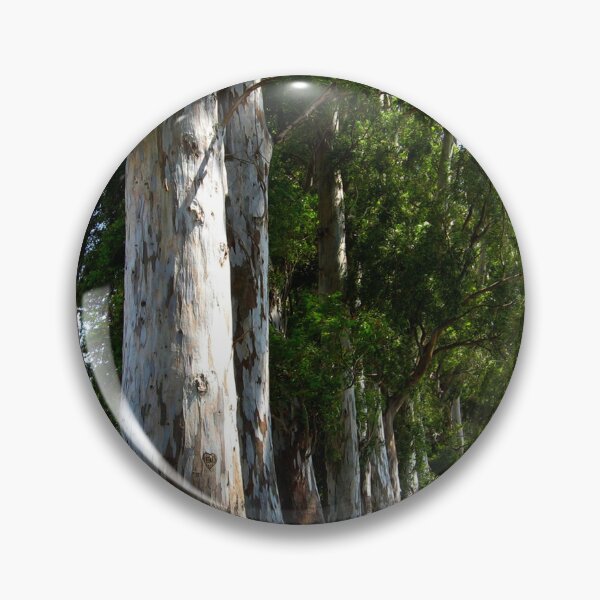 Item preview,  Eucalyptus Tree Canopy Tunnel Akcapinar Gokova Turkiye designed and sold by taiche.