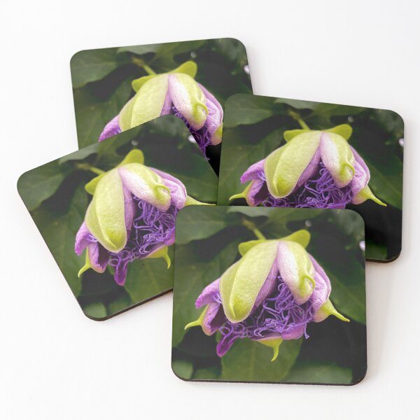 Item preview, Passion flower designed and sold by Gemini Dreaming.