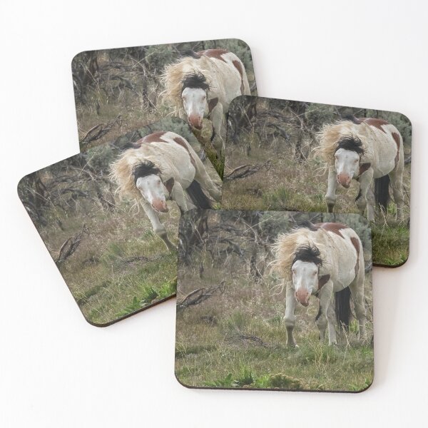 Item preview, Wild Thing - Shaman, South Steens Herd designed and sold by Belinda Greb Photography.