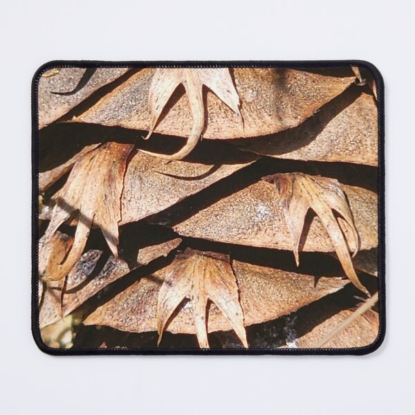 Item preview, close up pine cone designed and sold by FeralBDesigns.