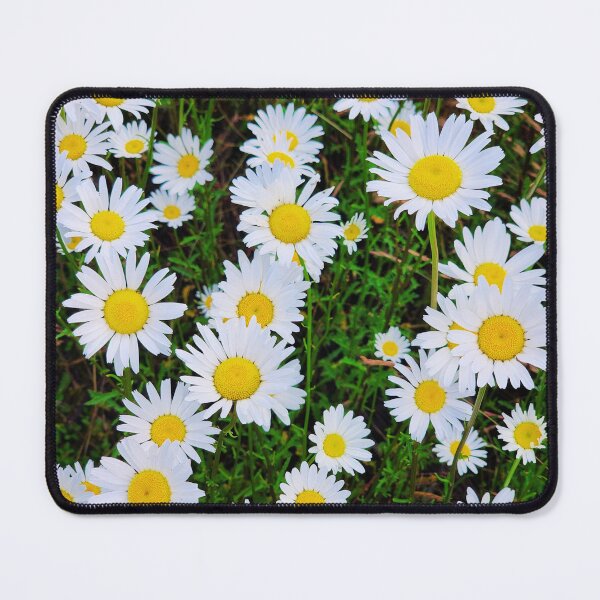 Item preview, field of daisies designed and sold by FeralBDesigns.