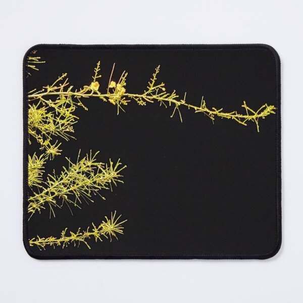 Item preview, palo verde at night designed and sold by FeralBDesigns.
