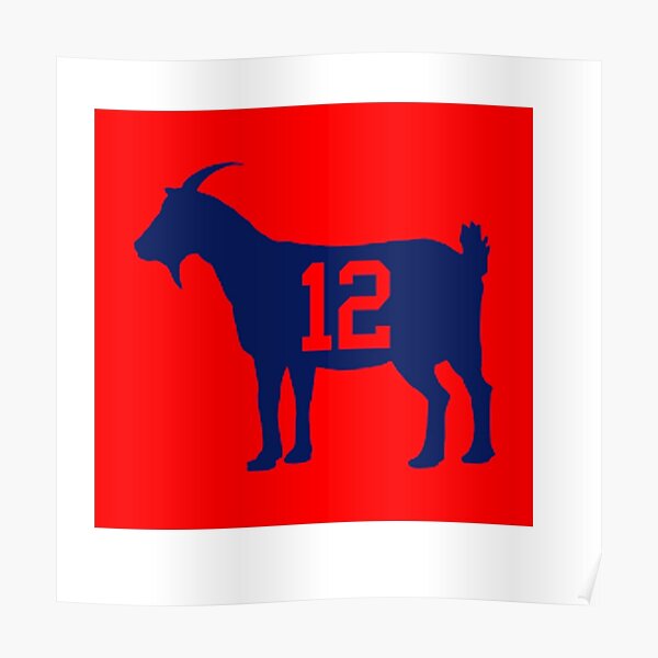 : We Got Good Brady 6 Rings Poster Tom Goat Poster: Posters &  Prints