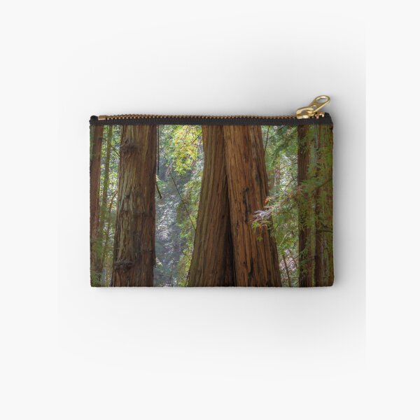 Aperçu de l'œuvre Redwood Lean créée et vendue par FollowPhoto.