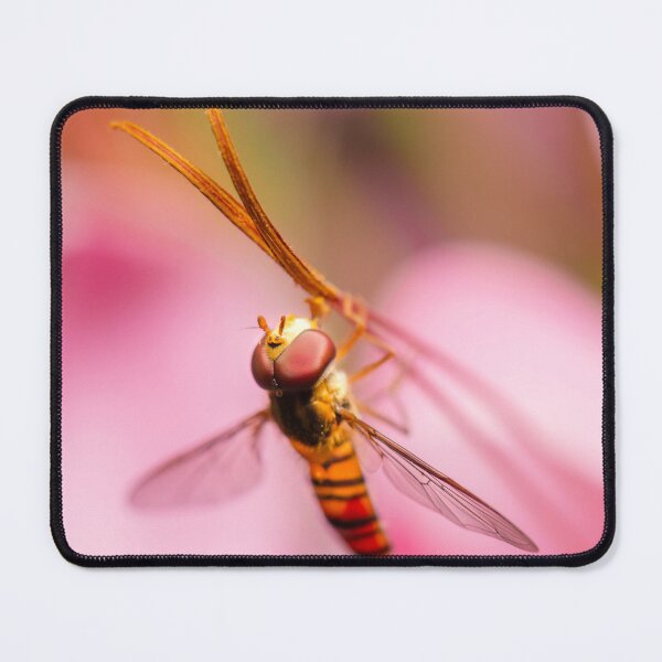 Item preview, Marmalade Hoverfly designed and sold by robdanimalphotography.
