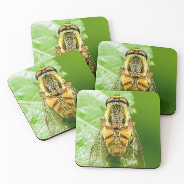 Item preview, Drone fly also called Eristalis tenax designed and sold by robdwildlife.