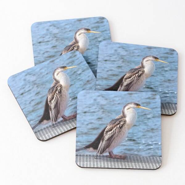 Item preview, Australian darter bird 54000 designed and sold by kevin Chippindall.