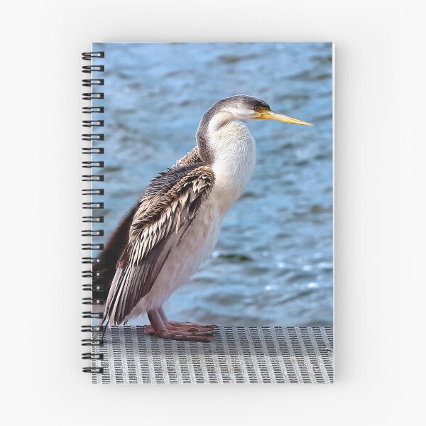 Item preview, Australian darter bird 54000 designed and sold by kevin Chippindall.