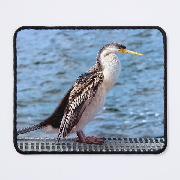 Item preview, Australian darter bird 54000 designed and sold by kevin Chippindall.