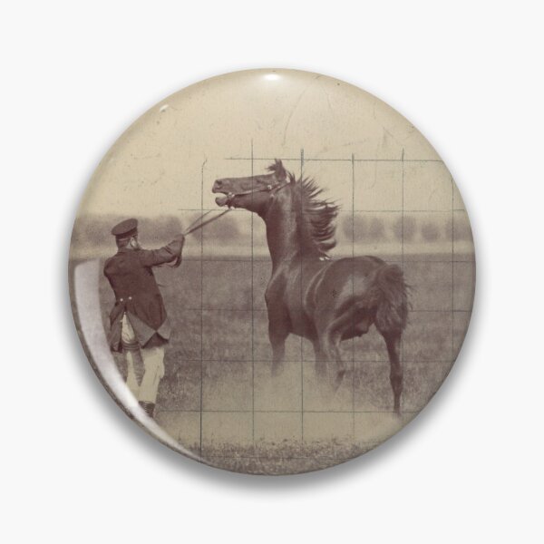 Item preview, German Photographic Study of a Horse in Motion, 1884 designed and sold by AnimaliaStar.