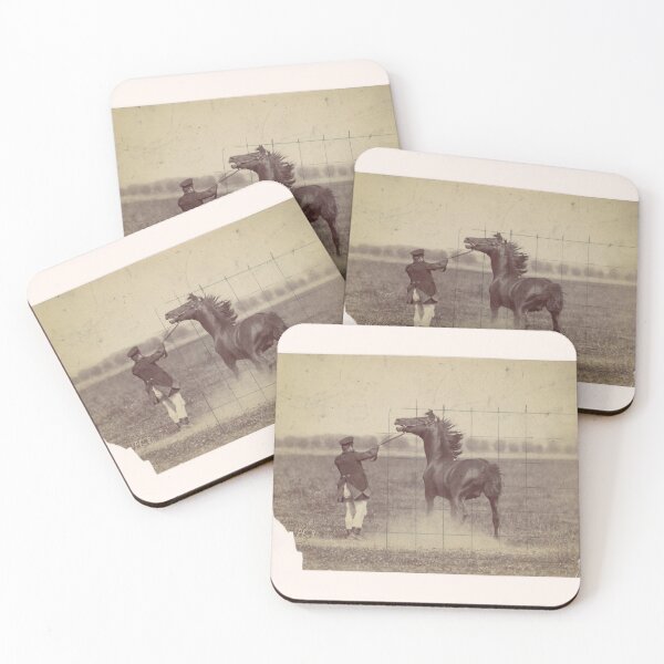 Item preview, German Photographic Study of a Horse in Motion, 1884 designed and sold by AnimaliaStar.