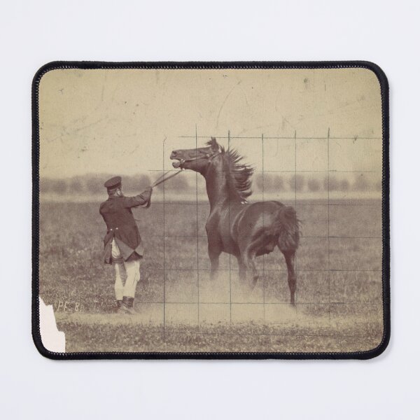 Item preview, German Photographic Study of a Horse in Motion, 1884 designed and sold by AnimaliaStar.